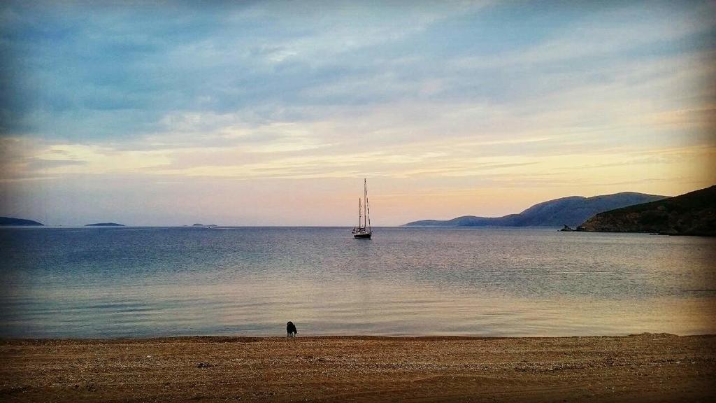 Theo'S Vacation Home สกีรอส ภายนอก รูปภาพ