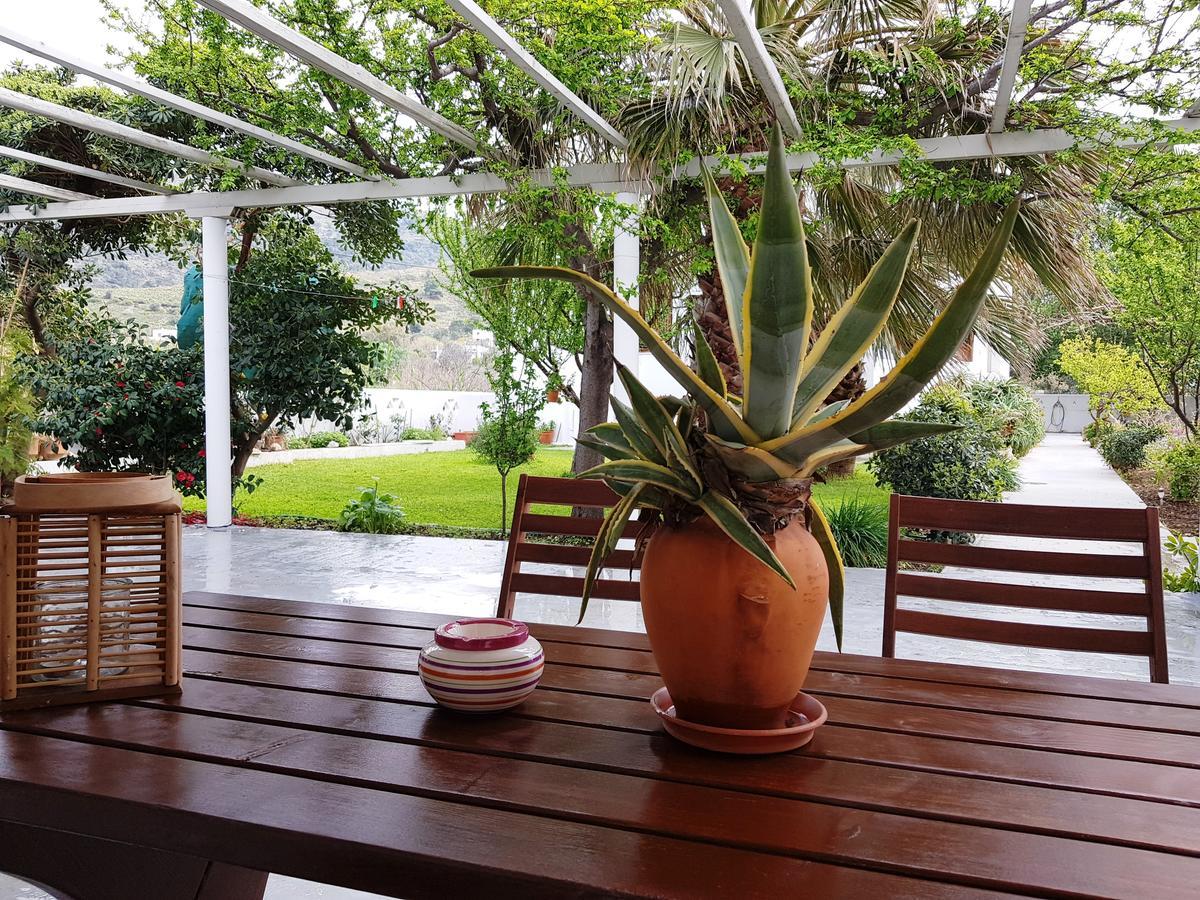 Theo'S Vacation Home สกีรอส ภายนอก รูปภาพ