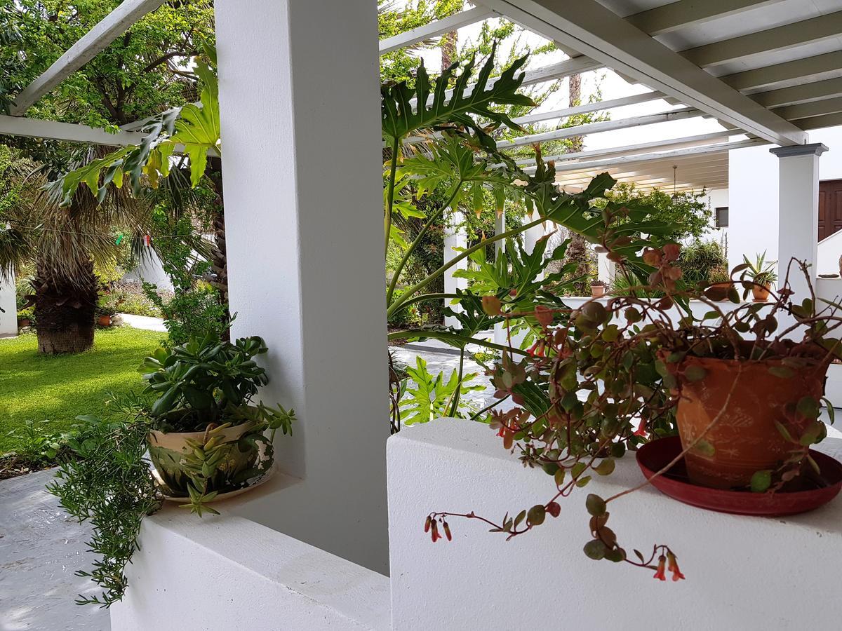 Theo'S Vacation Home สกีรอส ภายนอก รูปภาพ